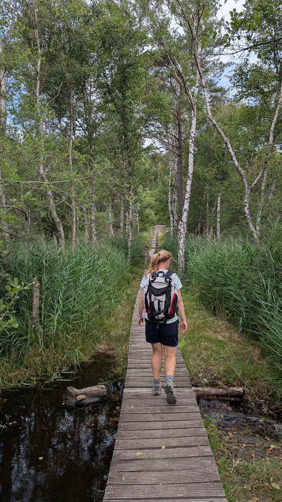 PXL 20250720 083656867 1080