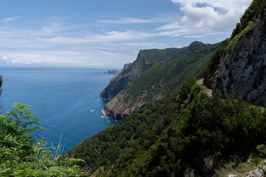 Irismadeira 106 Kaat Ureel 1080