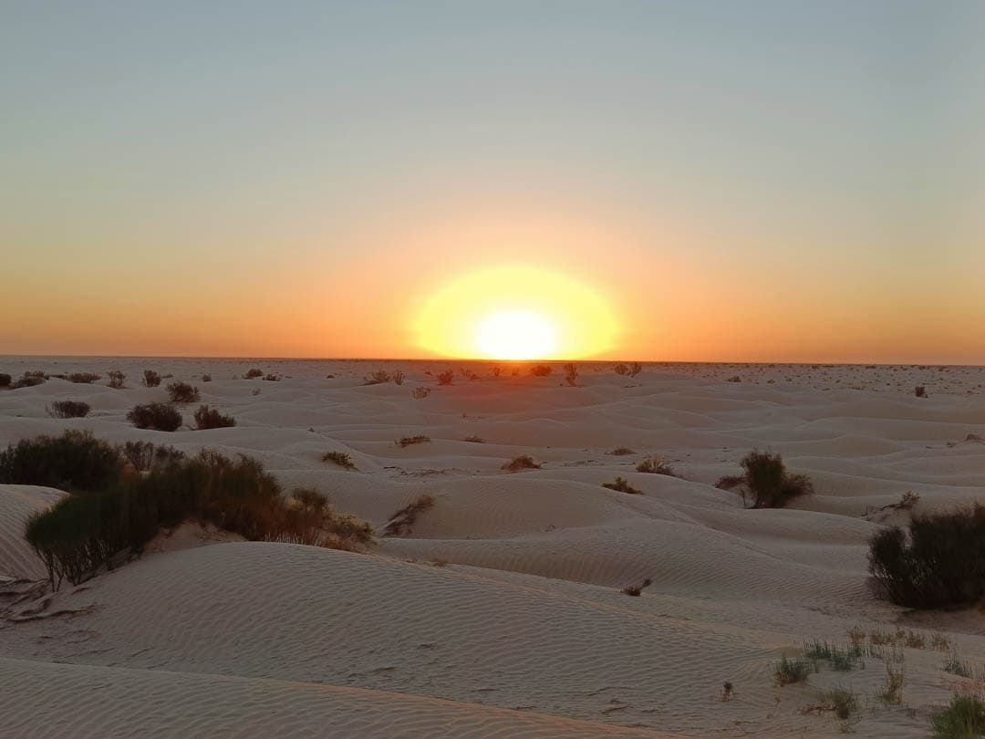 IMG20221118070206 1080