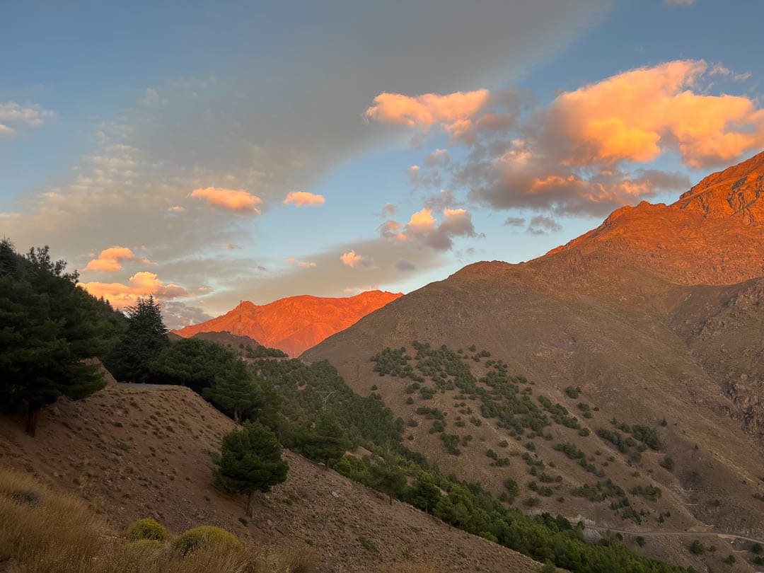 Image00036 Kato Schollaert 1080