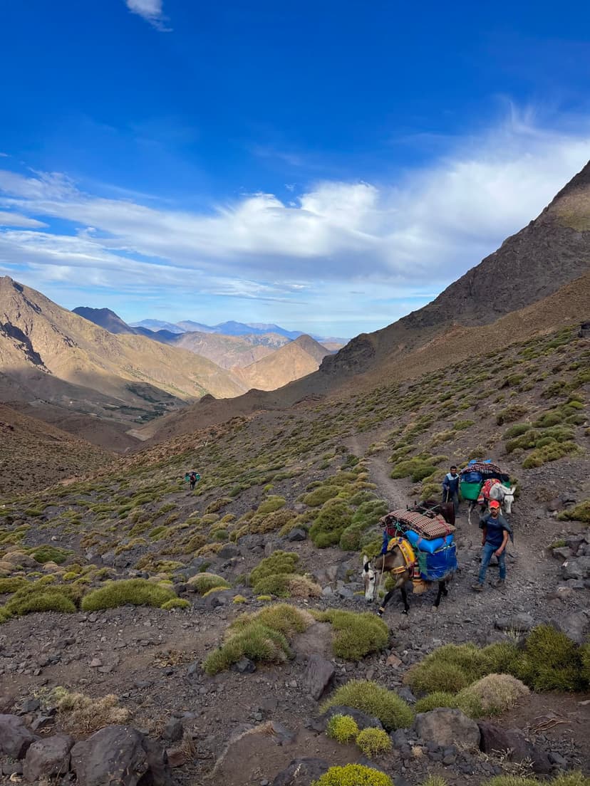 21 MA4TKB Neletordeur 2023 (6)