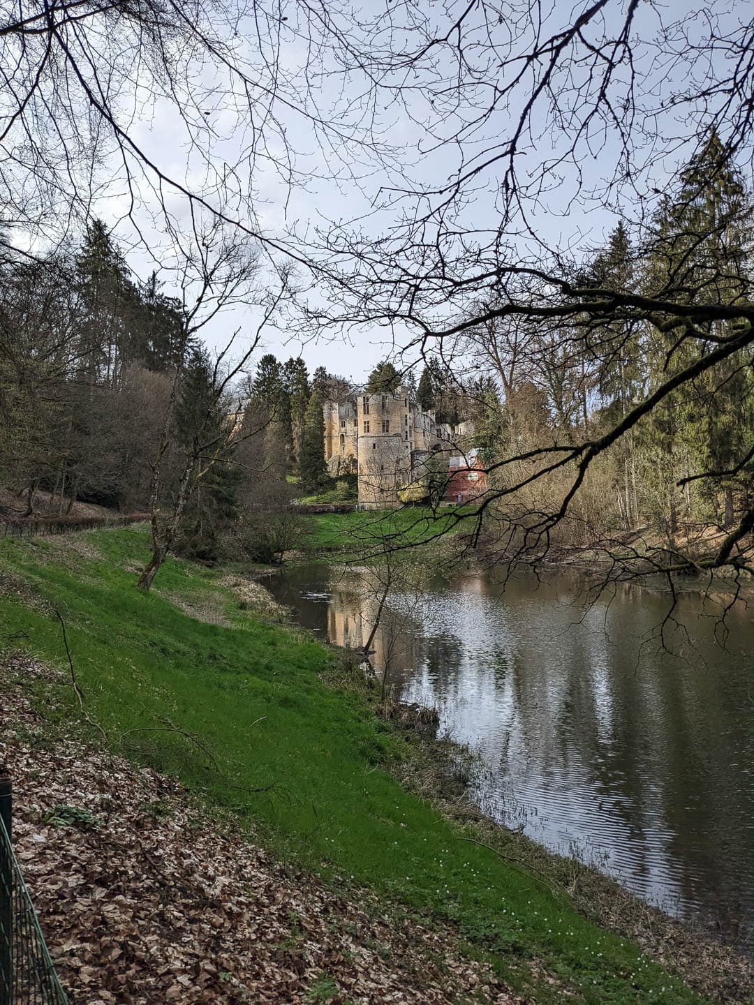 PXL 20230411 145605790 1080