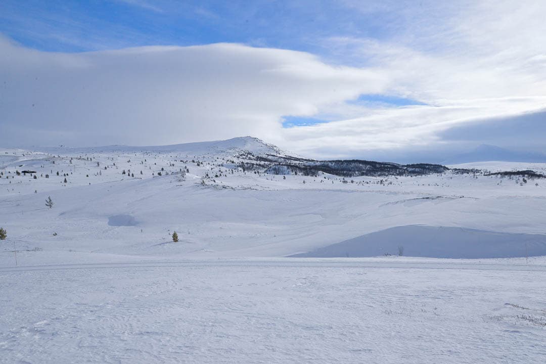 20240319 DSC 0070 1080