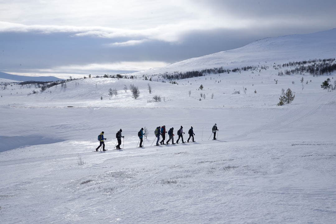 20240319 DSC 0065 1080