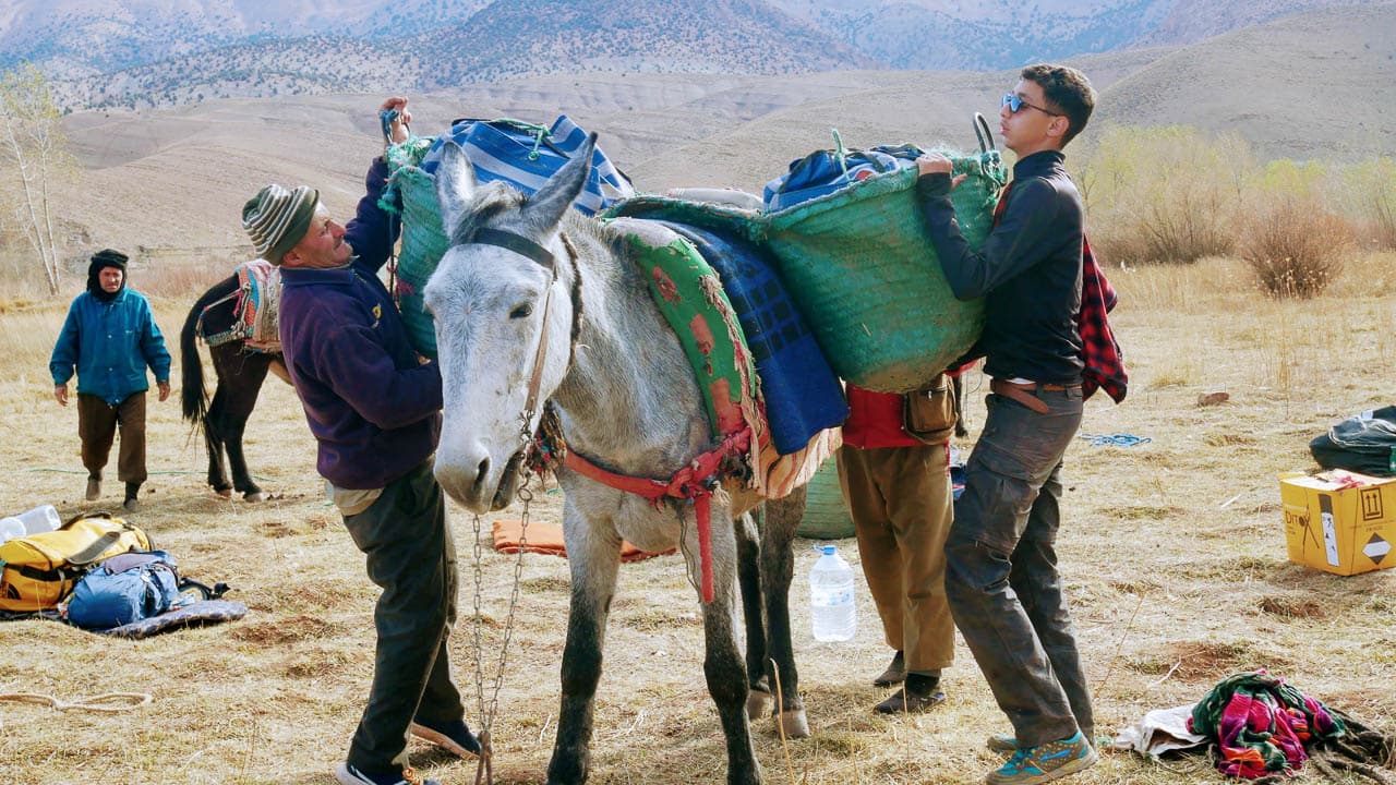 1130456 Selectie W1280