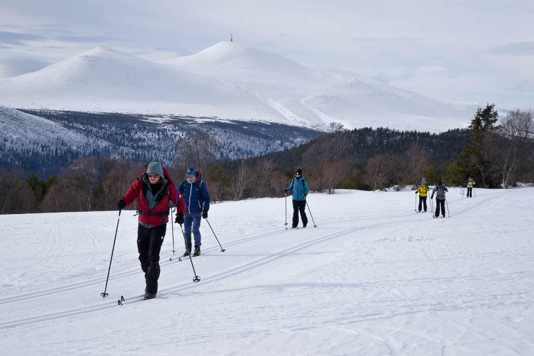 20240318 DSC 0034 1080