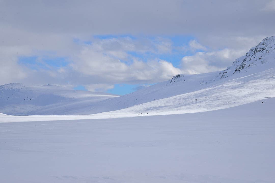 20240322 DSC 0449 1080