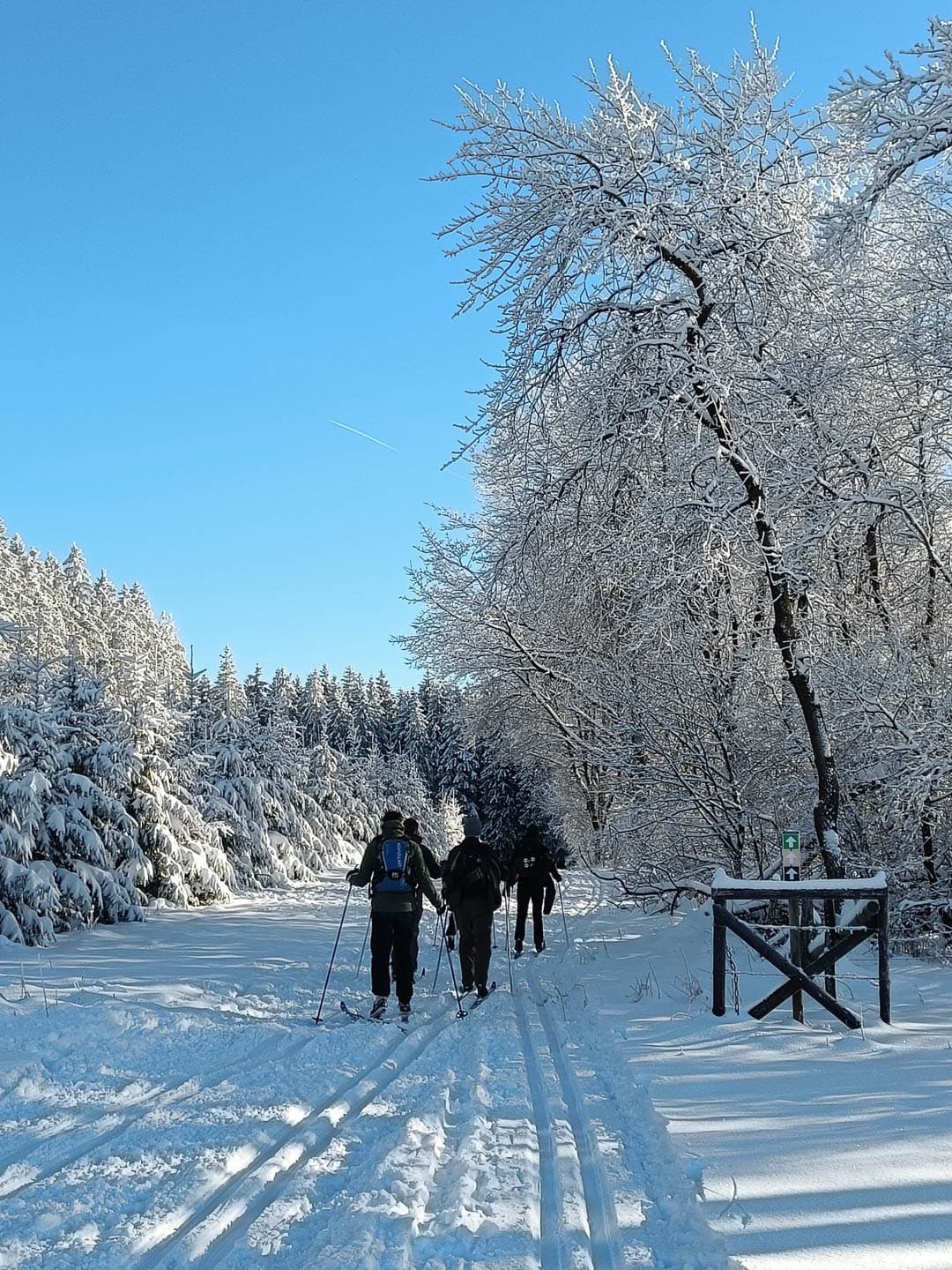 BE4HVW Jolienverhelst 2024 (21) 1080