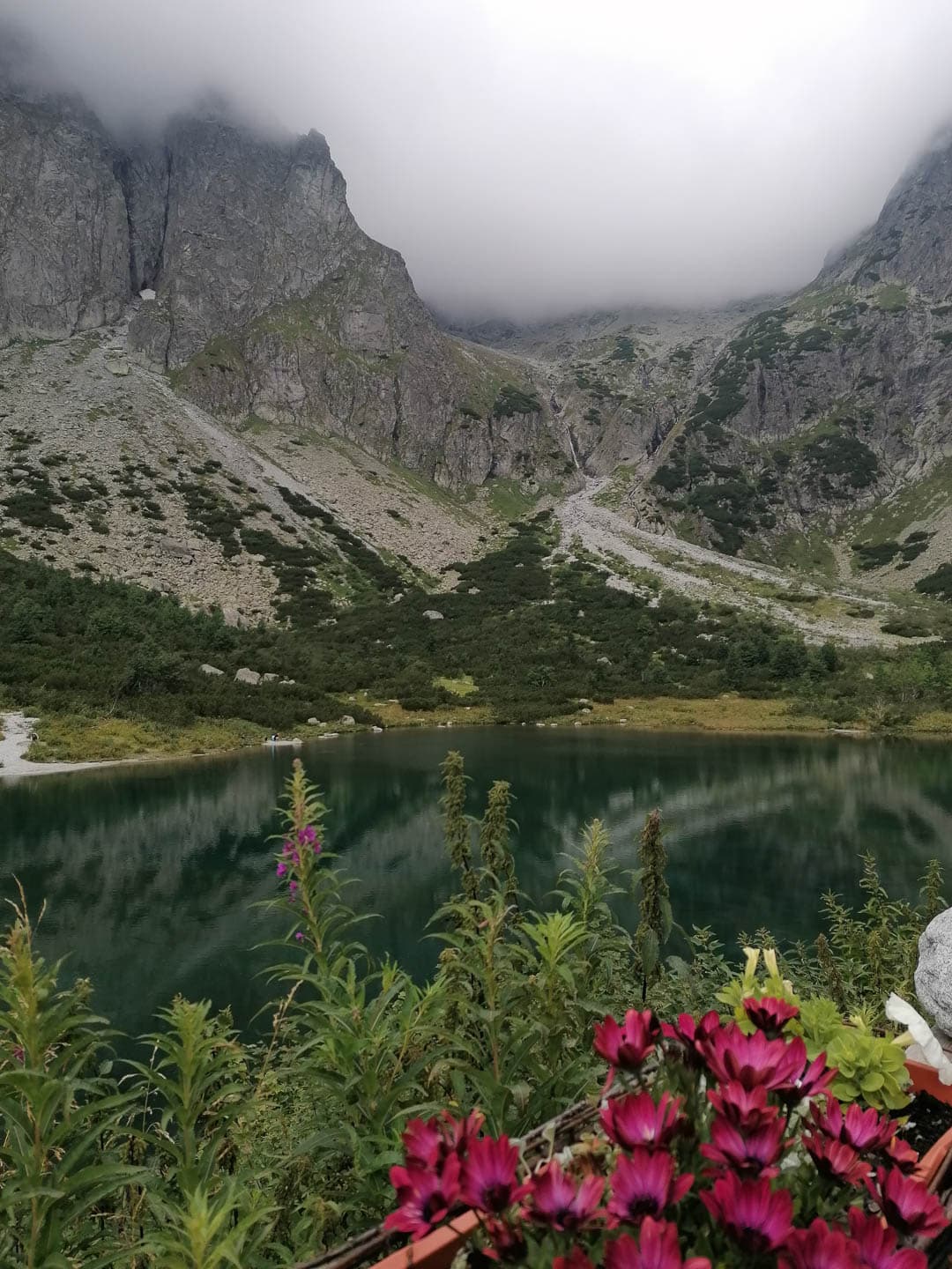 IMG 20240808 150901 1080