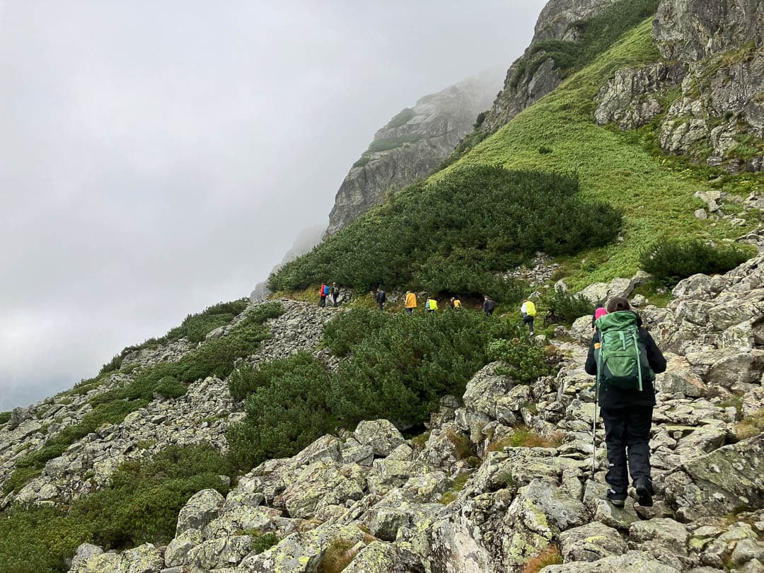 IMG 20240810 WA0094 1080