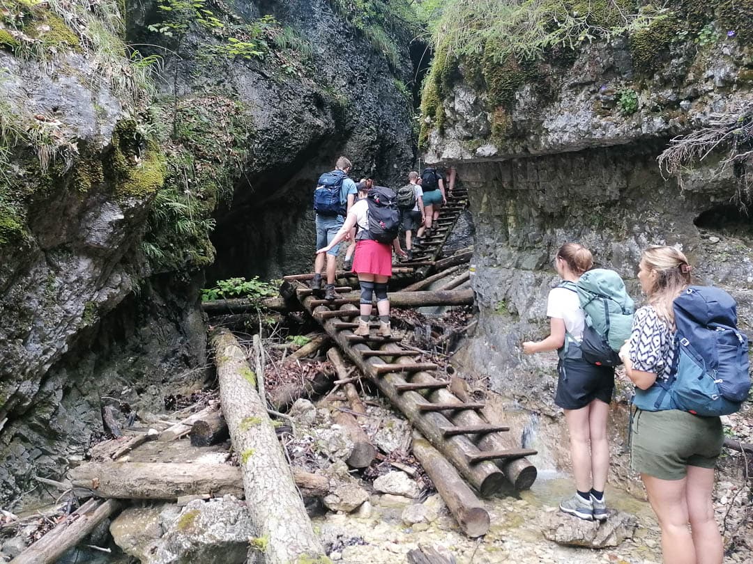 IMG 20240807 102123 1080