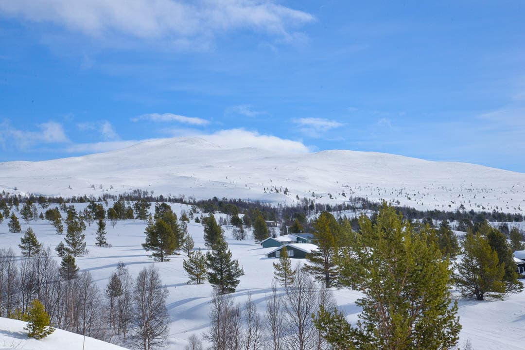 20240320 DSC 0112 1080