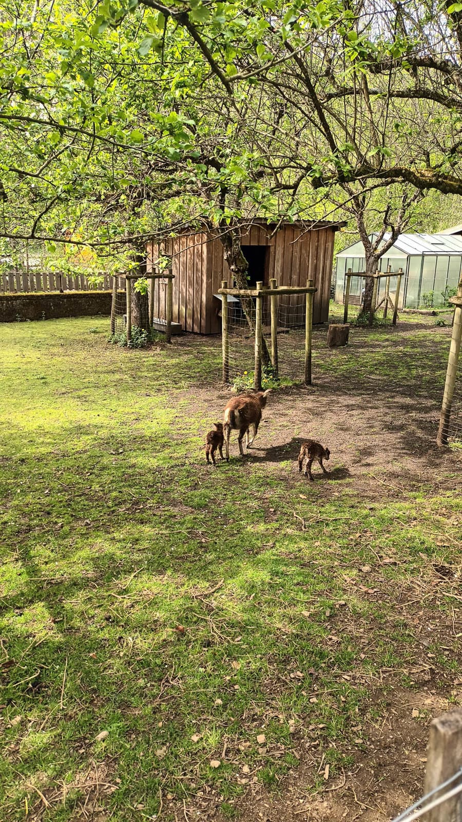 20250419 154355 1080