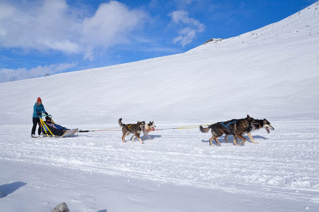 20240322 DSC 0345 1080