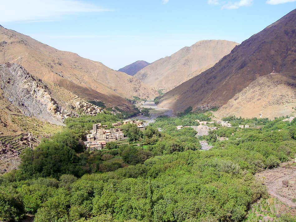 Bart-DW-4_export_w950