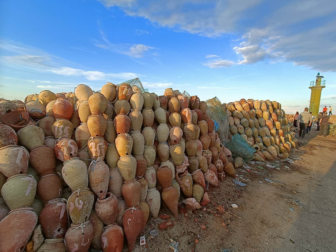 IMG20221112164129 1080