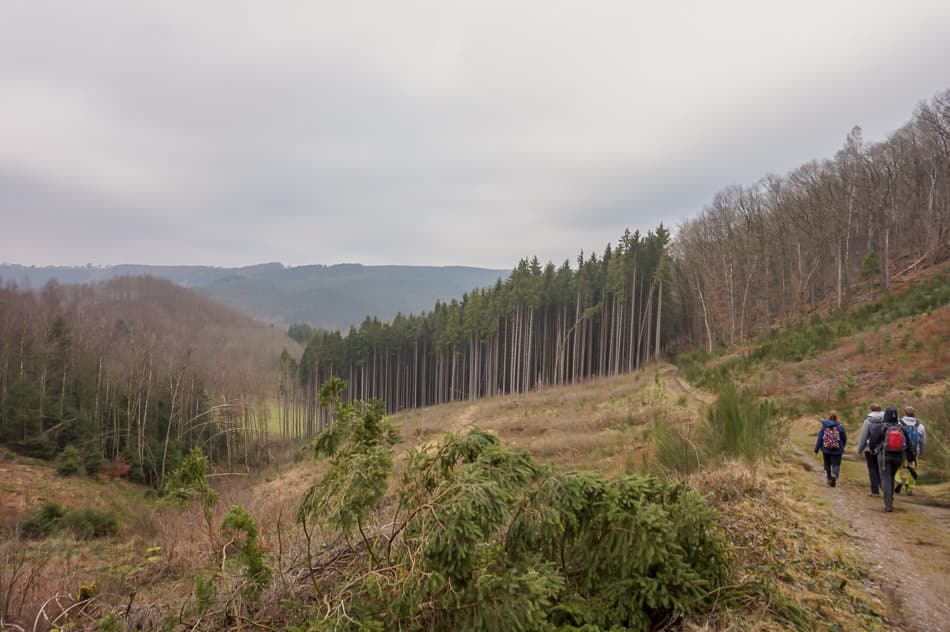 DSC05419_export_w950