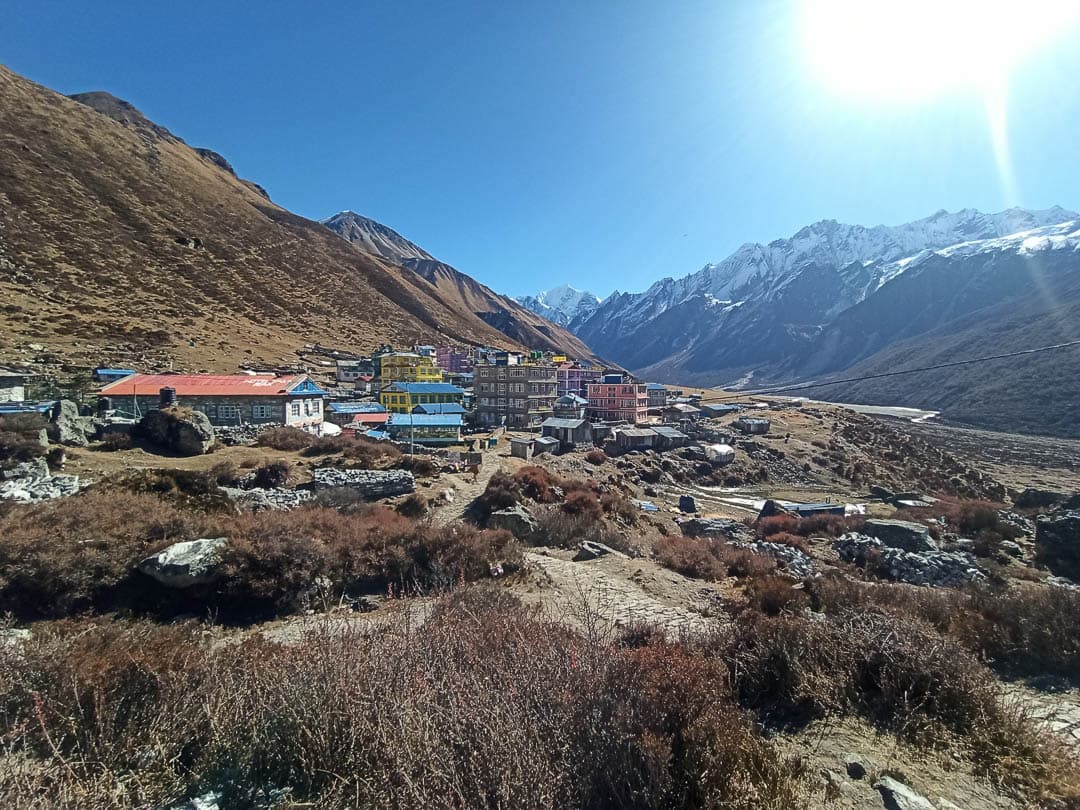 IMG 20241119 102012 1080