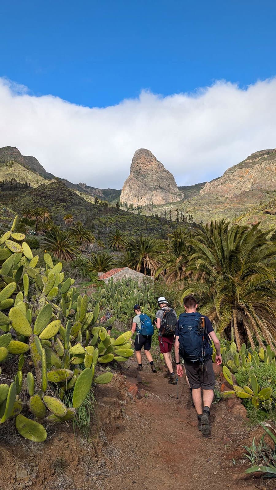 PXL 20250204 151448965.MP (1) 1080