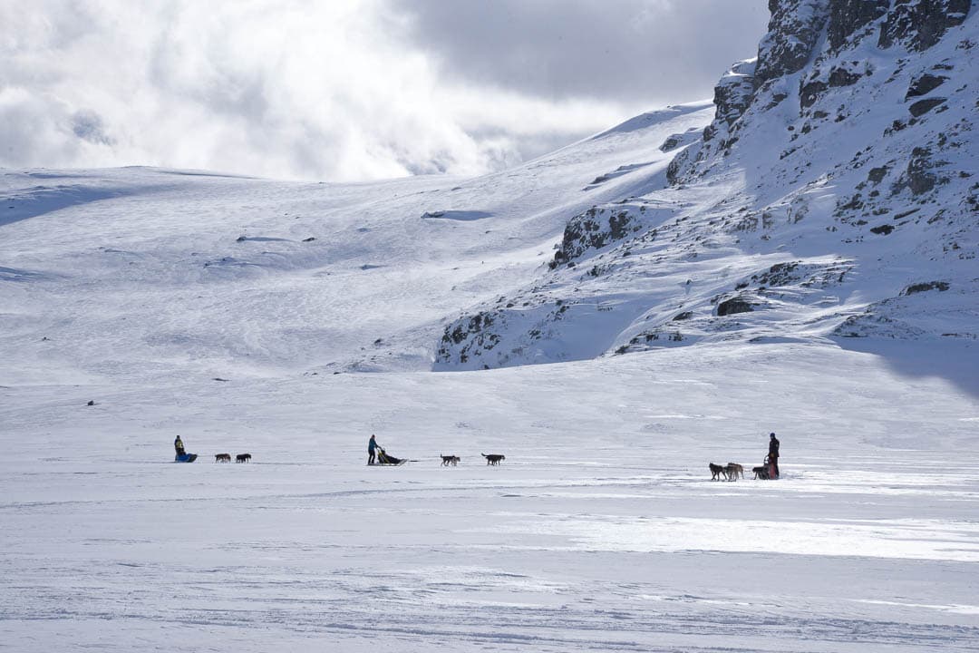 20240322 DSC 0317 1080