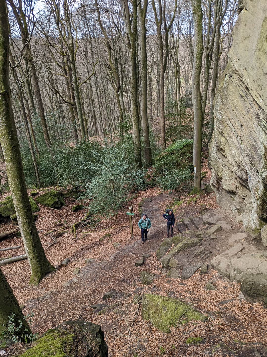 PXL 20230411 112156605 1080