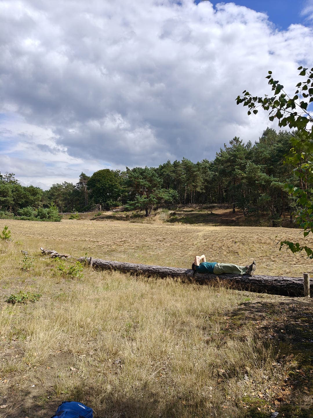 IMG20250802154355 1080