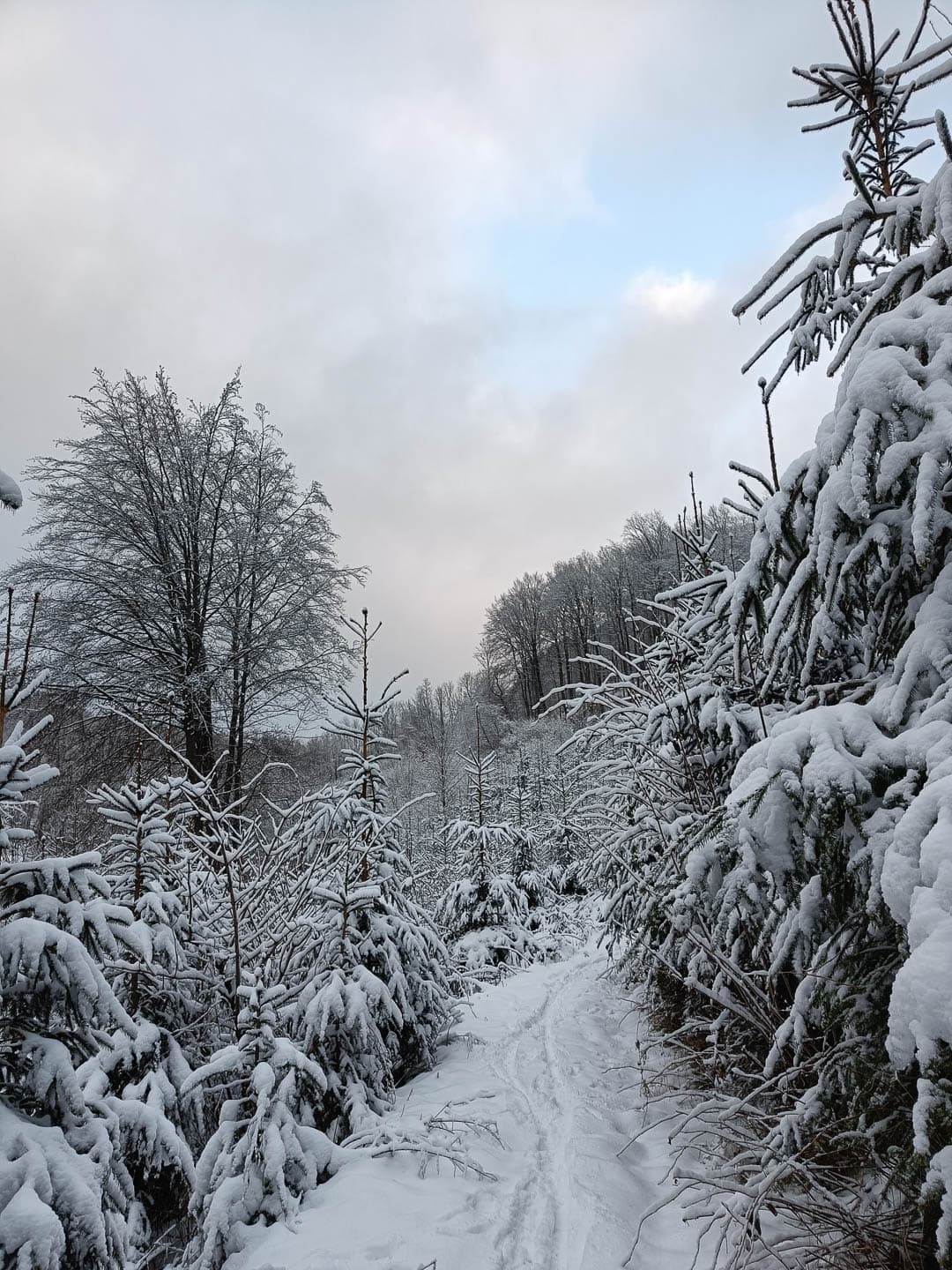 BE4HVW Jolienverhelst 2024 (11) 1080