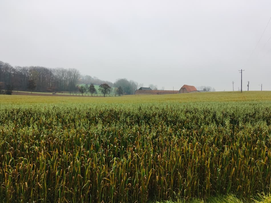 Foto-24-11-18-13-37-24_export