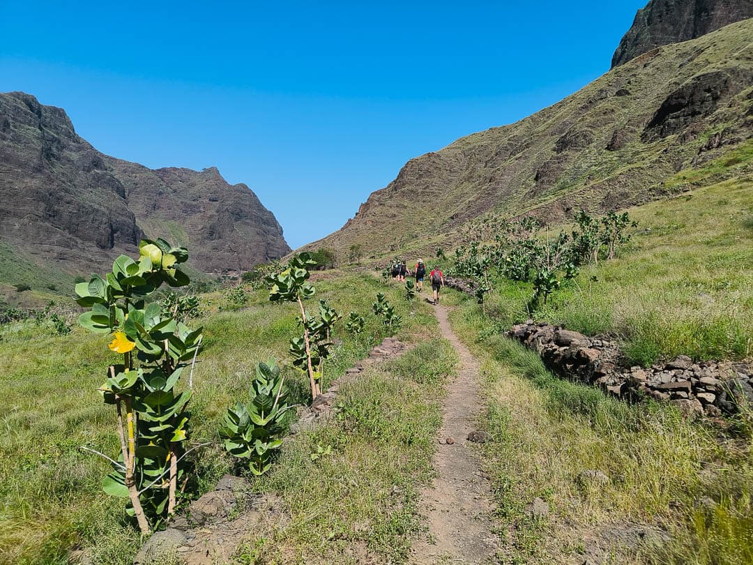 IMG20241105104718 1080