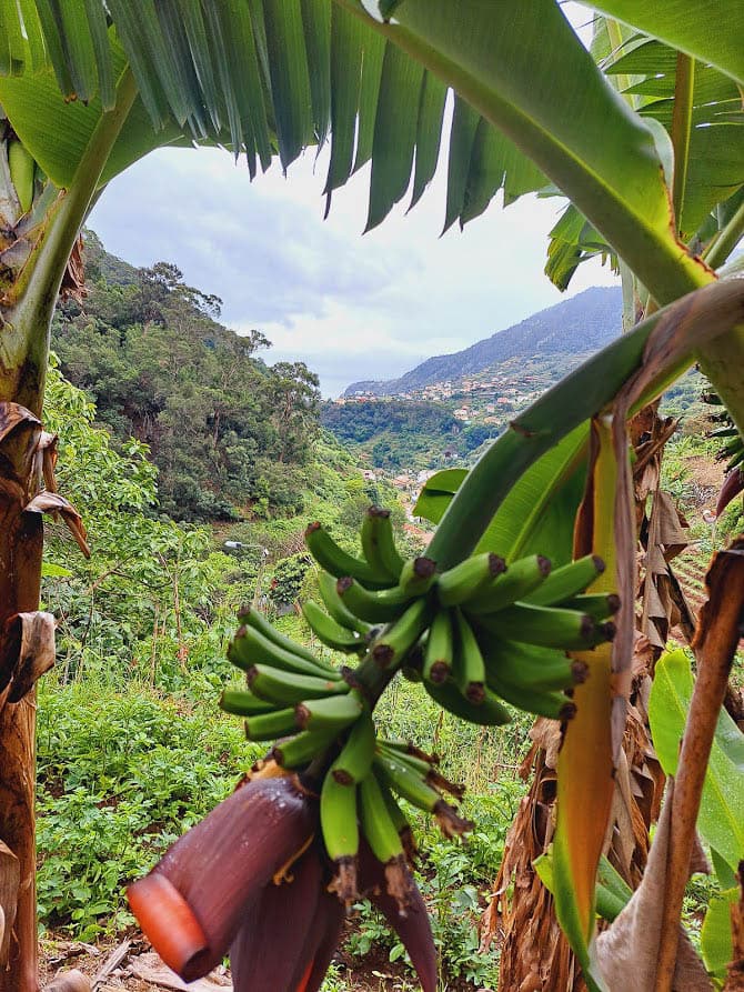 20230611 095444 Kaat Ureel 1080