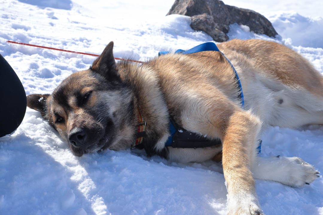 20240322 DSC 0361 1080