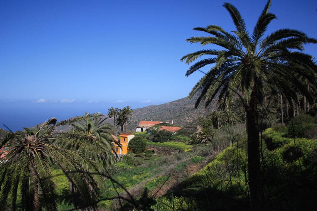 IMG 5505 Steven Van Offel 1080