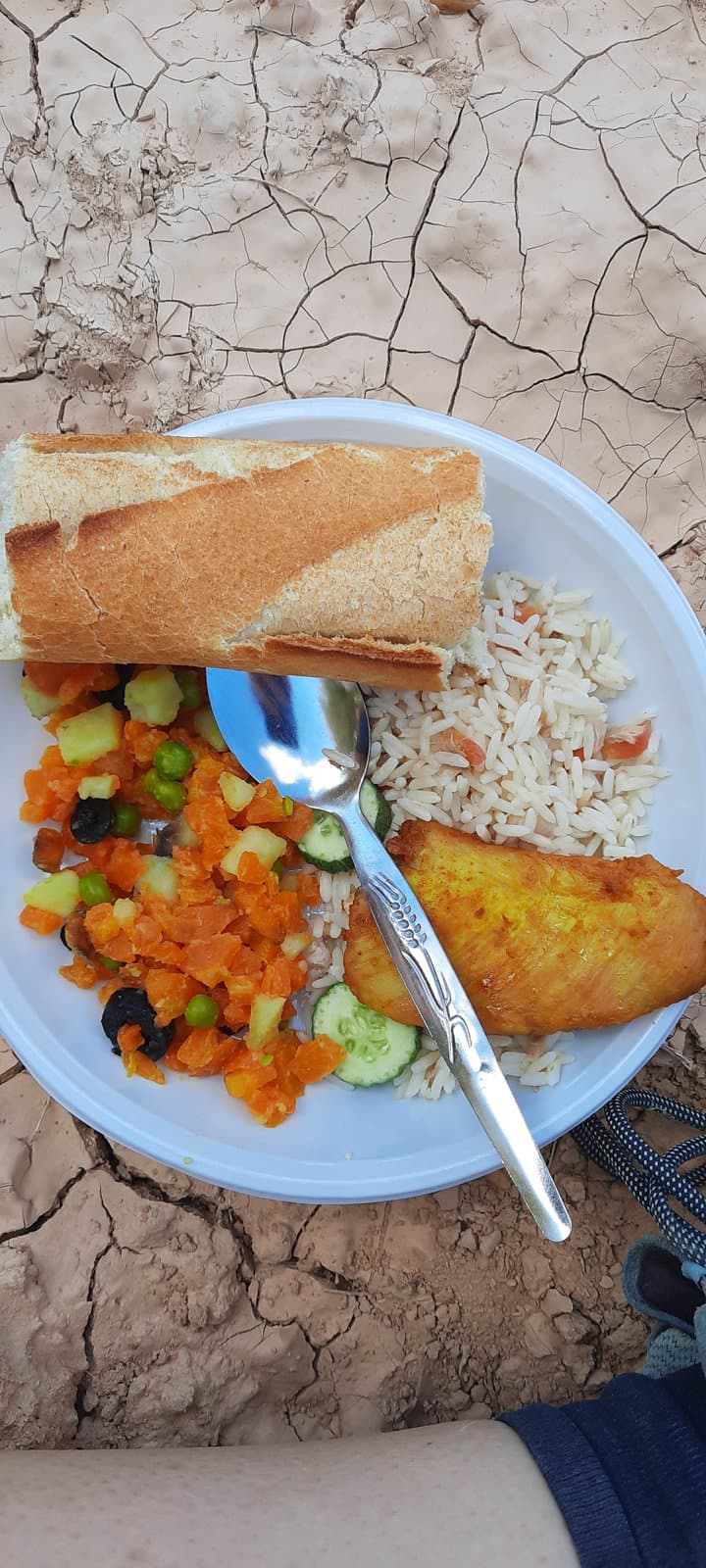 20221113 133441 1080