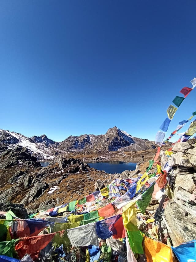 IMG 20241115 101956 1080