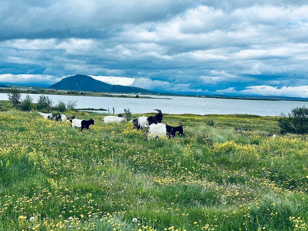 20240817 193729 5409 1080