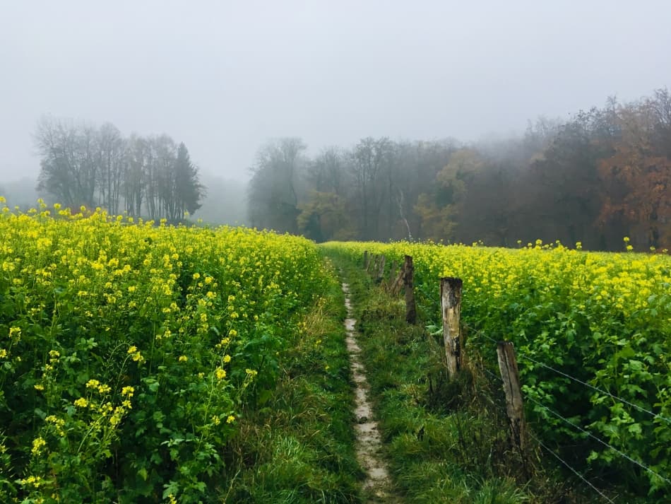 Foto-24-11-18-15-43-09_export