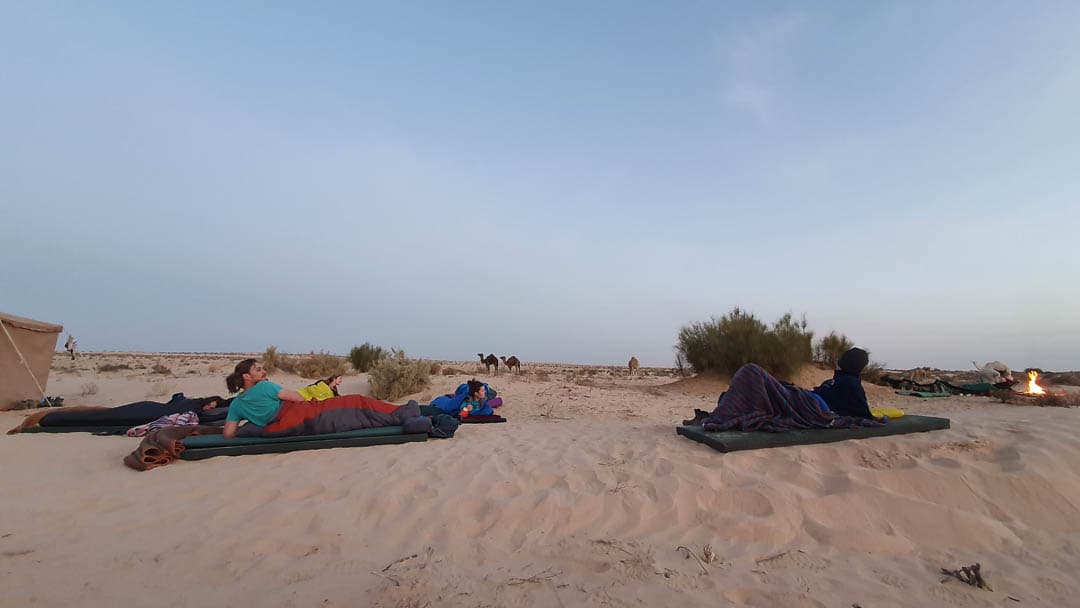 20221117 064601 1080