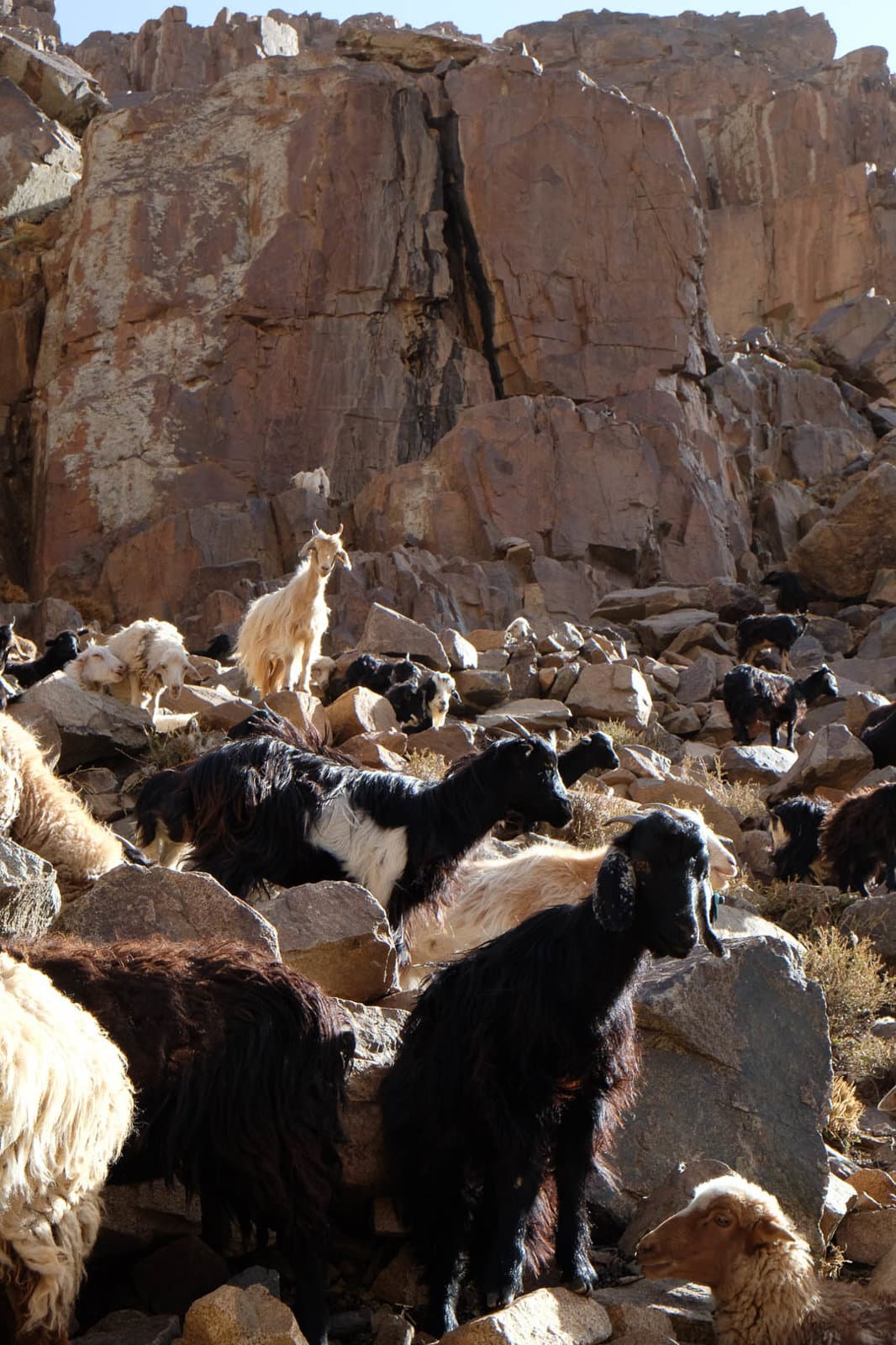 DSCF4919 Maarten Caversoons 1080