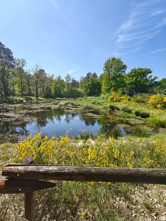 IMG20250430142518 1080