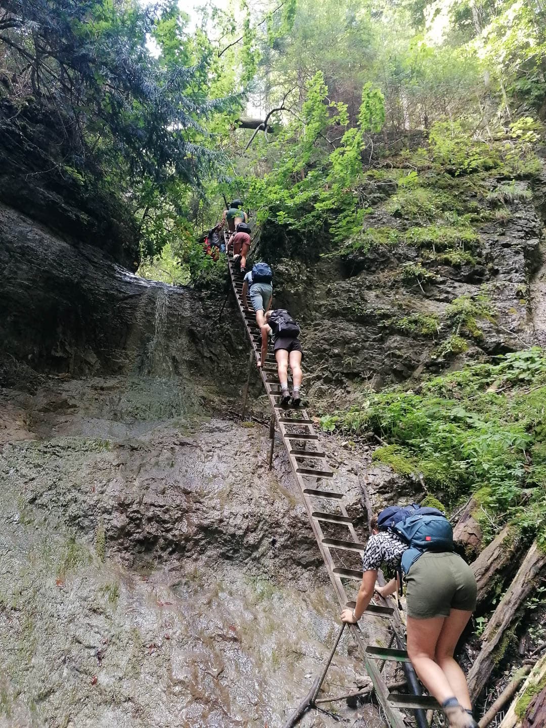 IMG 20240807 104525 1080