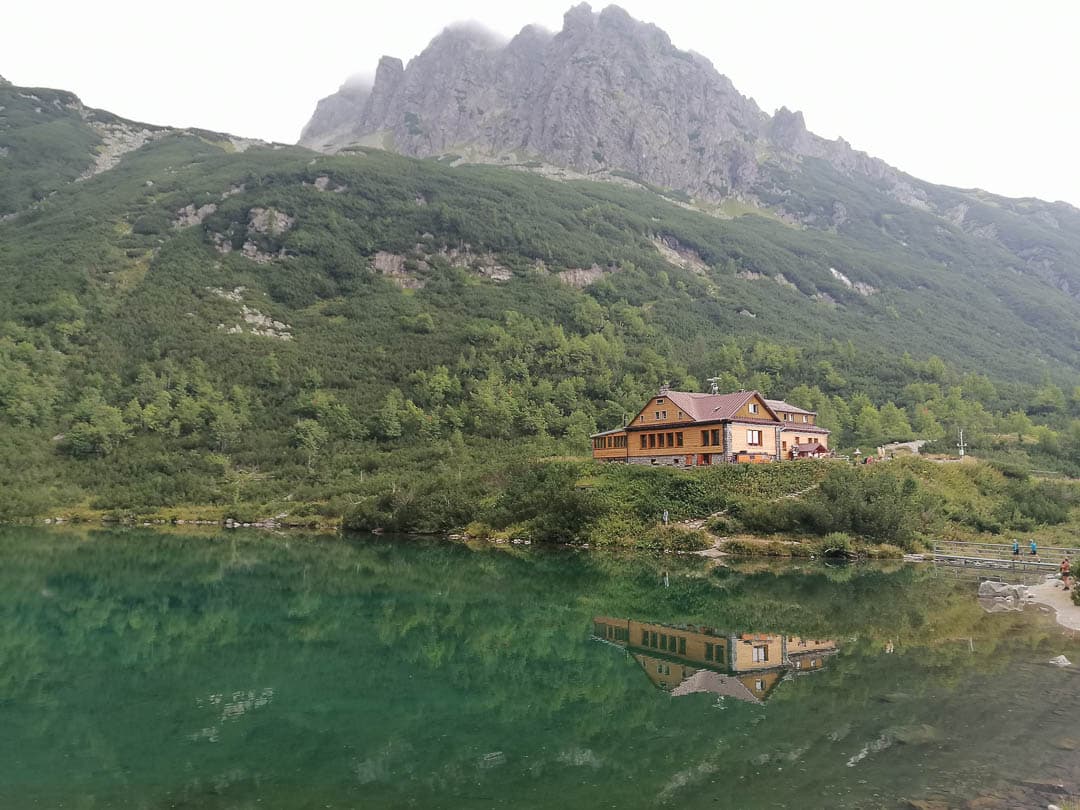 IMG 20240808 171504 1080