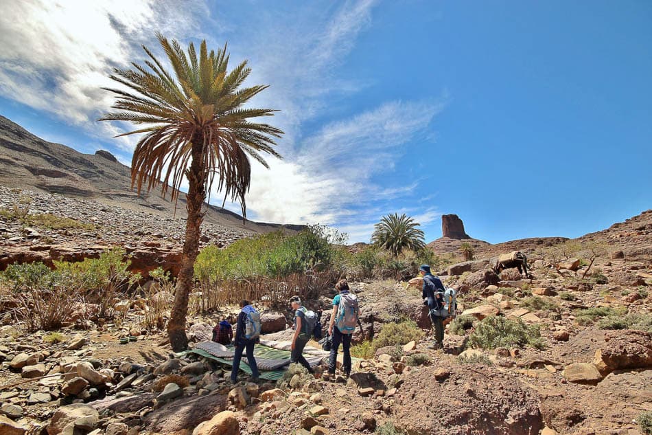 js-145_arne-van-wijnsbergen_w950