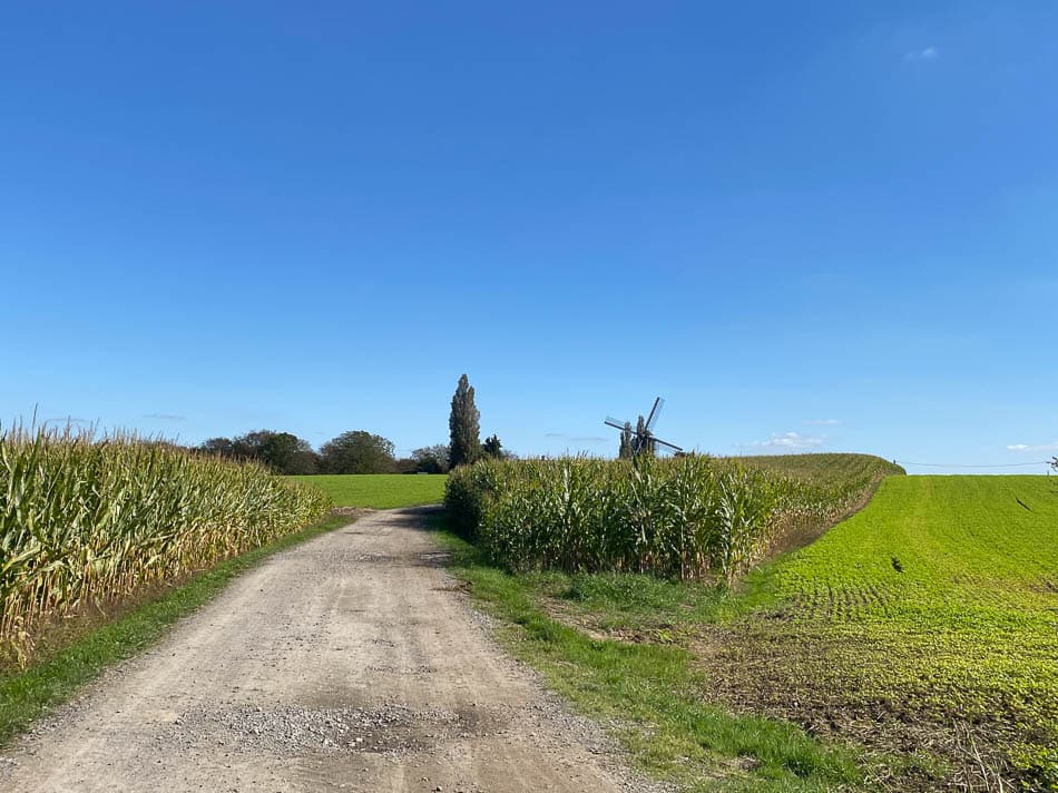 Image00003 Selectie Yasmin Haegeman W950