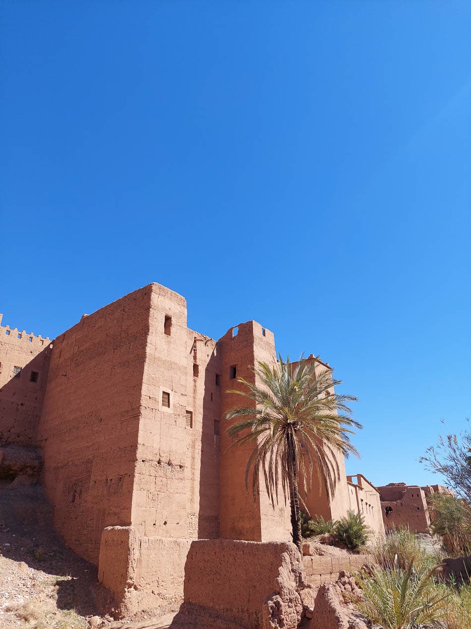 20230311 114916 Selectie Stef Aerts W950