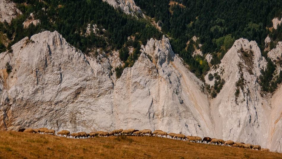 Bootz Website High Scardus Trail Felten (18) Selectie Myrthe Felten W950