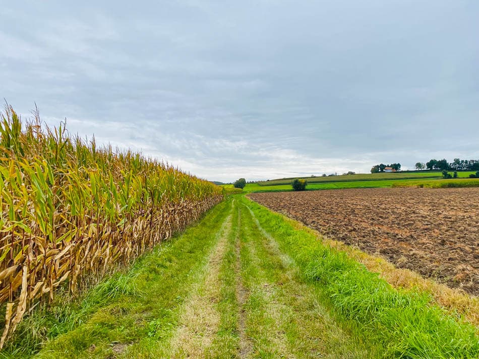 IMG_4296 1_Yasmin Haegeman_w950