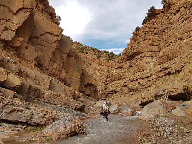 20231027 130814 Selectie Charlotte Stevens W950