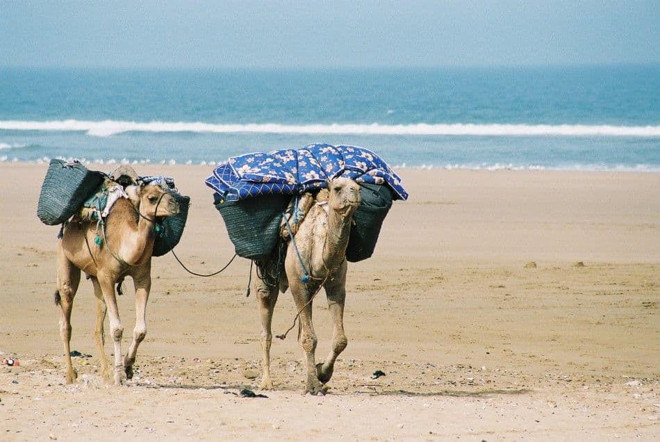 GEZ12-31-Atlas-kust-gezins-07-Joelle-De-Hertogh-11-Custom