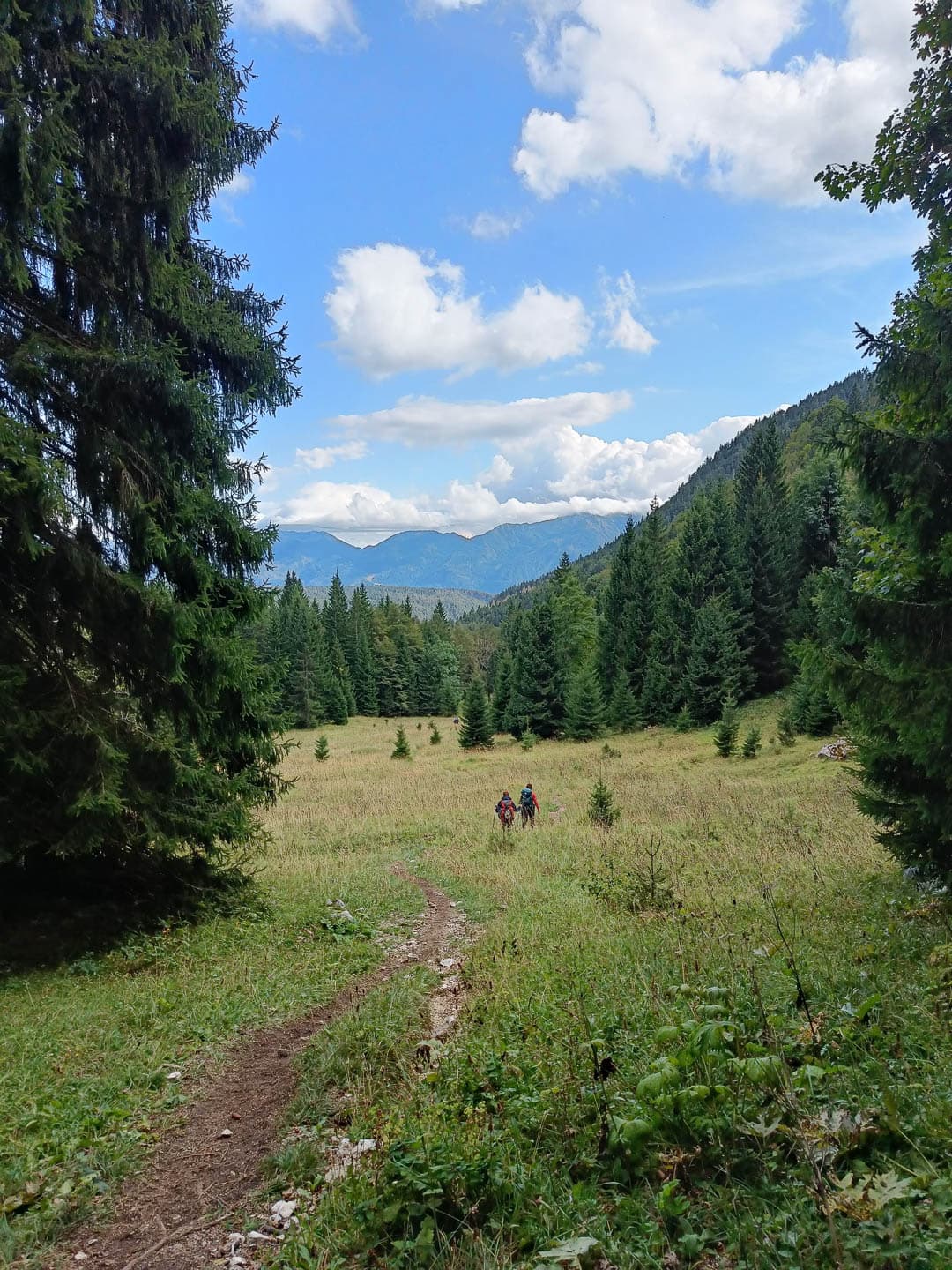 SL4AAA Joliennverhelst 2024 (88) Jolien Verhelsy 1080