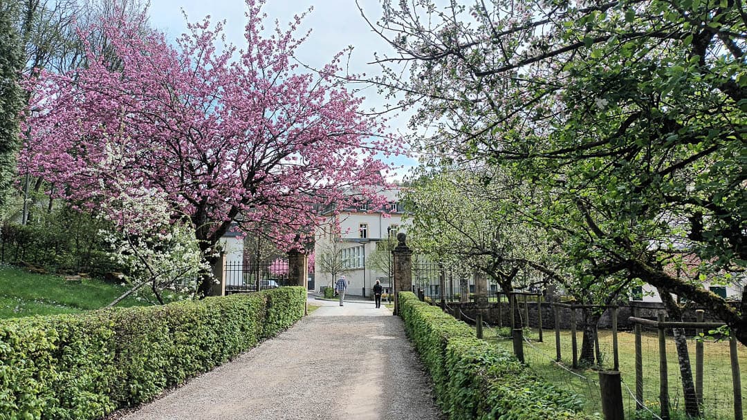 20250419 154524 1080